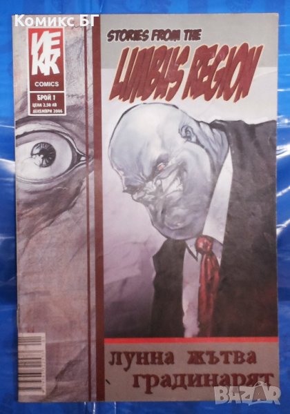 Комикс Stories from the Limbus region бр. 1, снимка 1