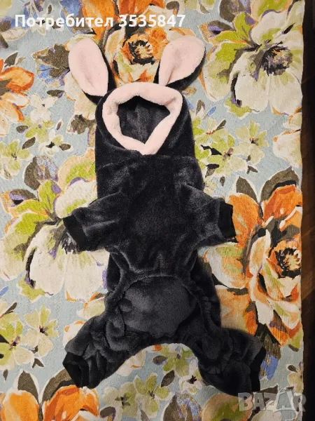 поларно костюмче , снимка 1