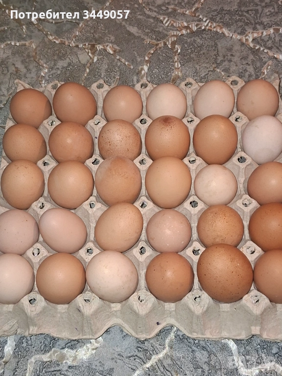 Предлагам яйца от свободни кокошки, снимка 1