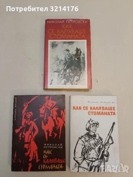 Как се каляваше стоманата - Николай Островски, снимка 1