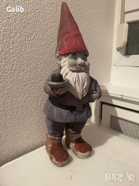 Декоративно джудже за двор, снимка 1