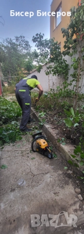 Косене на трева и храсти , снимка 3 - Други почистващи услуги - 51556849