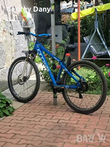 Cross Dexter 26