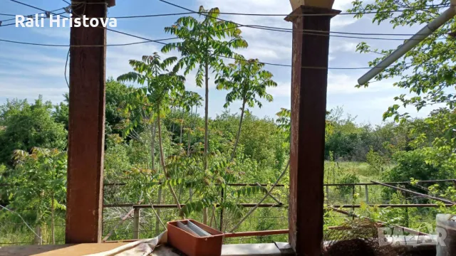 Продавам къща в с. Изгрев, снимка 7 - Къщи - 47714260