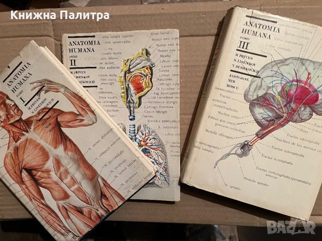 ANATOMIA HUMANA TOMO I, II, III, снимка 1 - Специализирана литература - 40371055