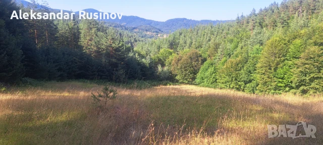Продава се земя в Родопите, снимка 2 - Земеделска земя - 51240521
