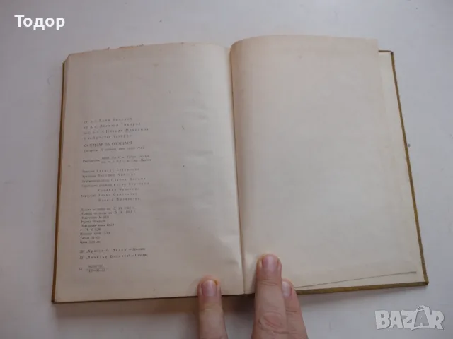 Книга Календар за овощаря Виденов , снимка 6 - Специализирана литература - 56254071