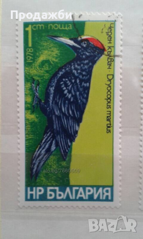 Красива колекция български пощенски марки с птици, снимка 3 - Филателия - 44804788