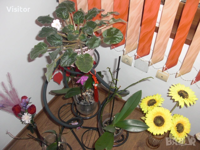 фотоапарат Casio Exilim EX-S10, снимка 16 - Фотоапарати - 53618372