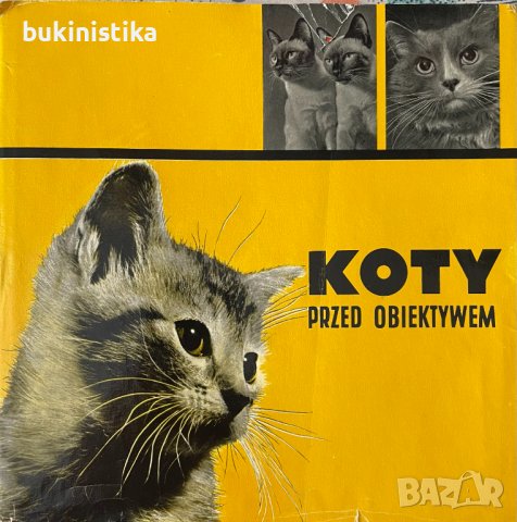 "Koty przed obiektywem"- Котки пред обектива на полски