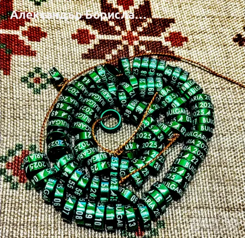 Пожизнени пръстени за 2025 г., снимка 12 - За птици - 48763435