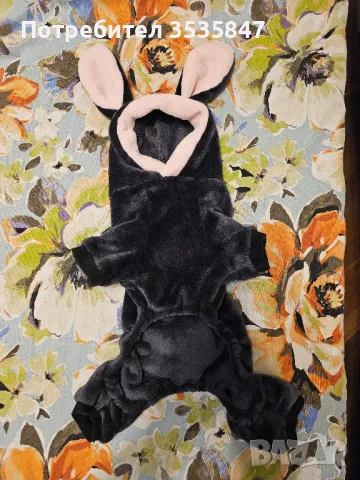 поларно костюмче , снимка 1