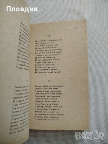 А.С.Пушкин , Евгений Онегин , снимка 6 - Художествена литература - 52584103