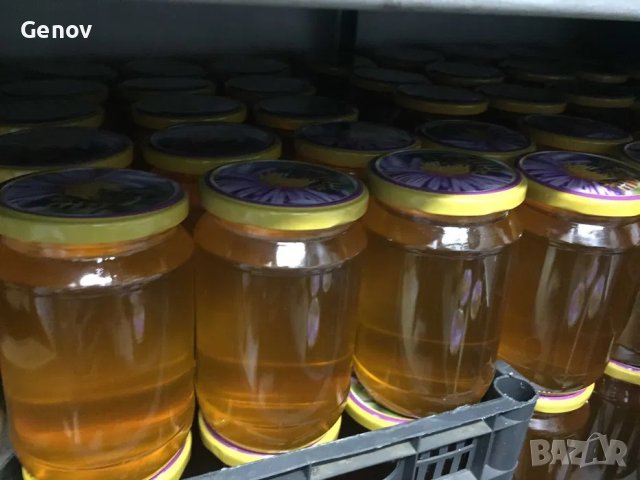 Пчелен мед от производител, снимка 5 - За пчели - 42183636