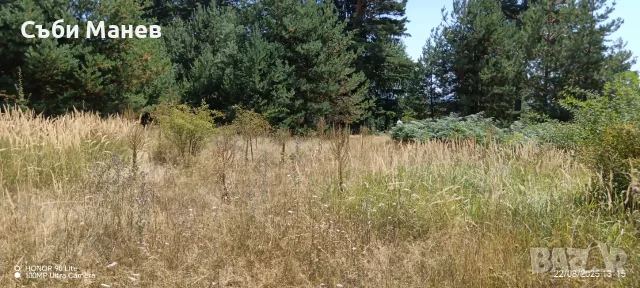 Продавам парцел на Пампорово - Поповото. 🌲 , снимка 7 - Парцели - 55981325