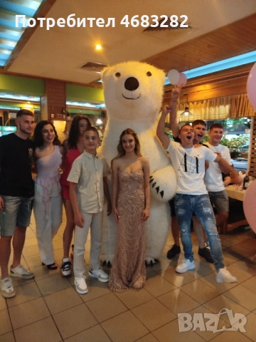 Голяма бяла мечка за Коледа