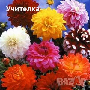 Математика Уроци Пловдив Център, снимка 2 - Ученически и кандидатстудентски - 55911001