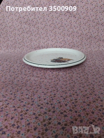 ръчно рисувана чиния, снимка 5 - Чинии - 52111433