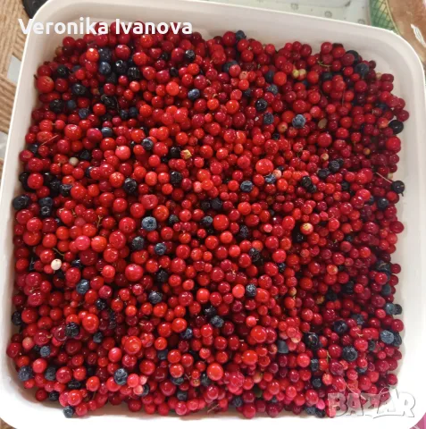 Пресни червени боровинки 