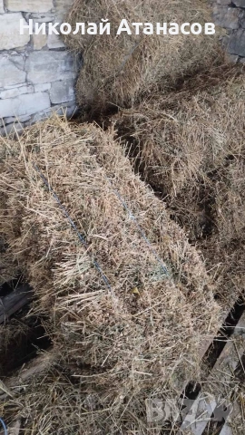 Бали люцерна, снимка 2 - За селскостопански - 53401854