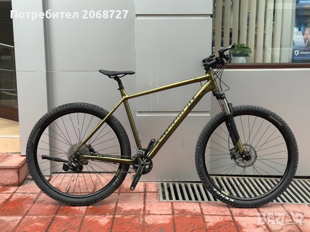 Bergamont Revox 6 29