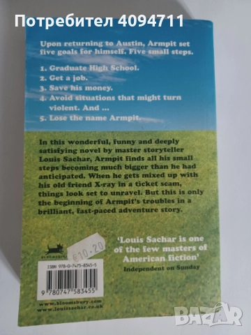 Small Steps by Louis Sachar, снимка 2 - Художествена литература - 52440608