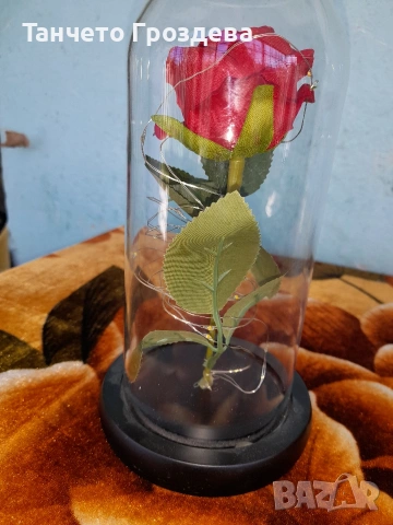 червена роза