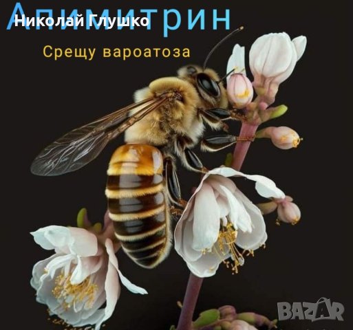 Апимитрин (аналог на Бипин-Т) 1мл със сертификат , снимка 3 - За пчели - 27374634