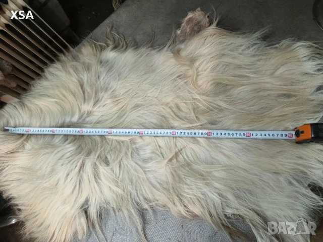 Естествени кожи от коза, снимка 8 - Други ценни предмети - 52265860