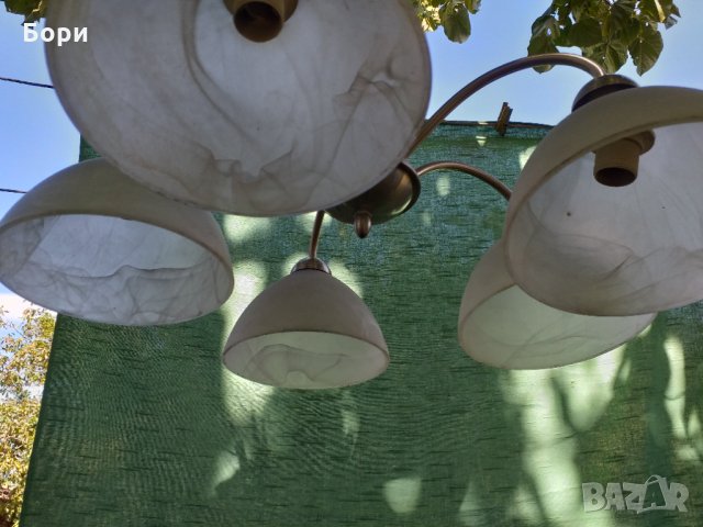 Немски полилеи, снимка 8 - Полилеи - 34331610