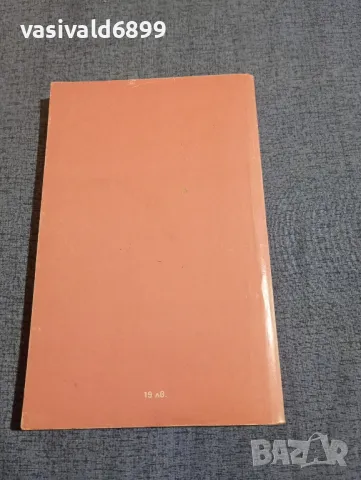 Рене Винси - Когато омразата заговори , снимка 3 - Художествена литература - 48312841