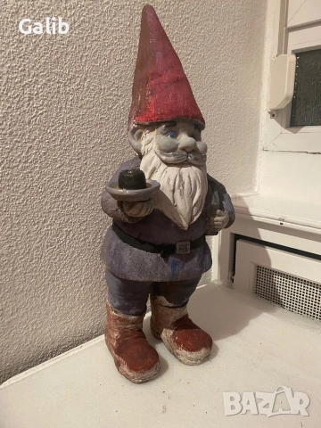 Декоративно джудже за двор