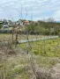 1.3 дк Двор / Парцел в Казанлък за Строеж на Къща. Дворно Място Вилна Зона "Старите Лозя" и Тюлбето, снимка 12