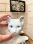 Голяма бяла порцеланова котка със зелени очи, снимка 10