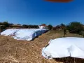 Продава се Метлен Клас, снимка 4