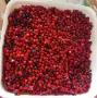 Пресни червени боровинки , снимка 1