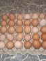 Предлагам яйца от свободни кокошки, снимка 1