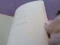 CD дискове на Бритни Спиърс -Берлиоз- Франк Синатра, снимка 12