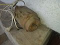 Монофазен ел.мотор, снимка 3