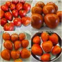 Семена от стари селски сортове домати,краставици и други, снимка 3