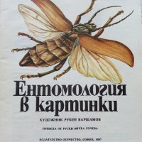 Ентомология в картинки - В.Танасийчук - 1987г. , снимка 2 - Детски книжки - 38938271