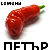 Семена за екзотични люти чушки, снимка 5 - Сортови семена и луковици - 44274579