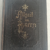Евангелска-лутеранска библия 1895, снимка 1 - Антикварни и старинни предмети - 36068010