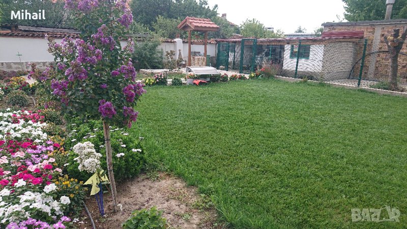 Засяване на райграс и тревни смески с професионална сеячна машина, снимка 1