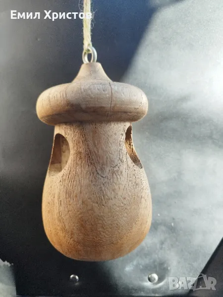 Дървена Гъбка, снимка 1