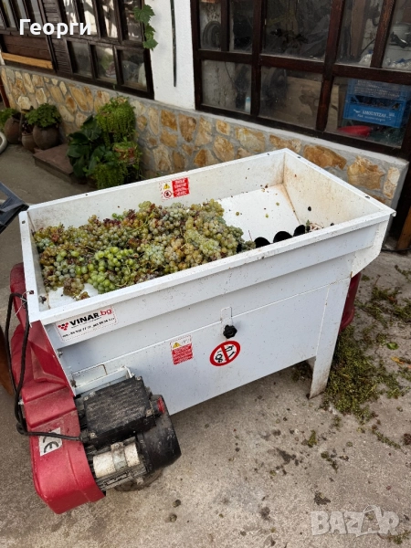 Мелене на грозде, снимка 1