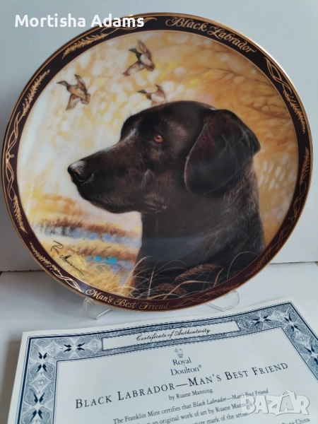 Royal Doulton- колекционерска чиния, снимка 1