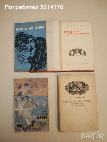 Броени дни - Васил Станилов, снимка 1