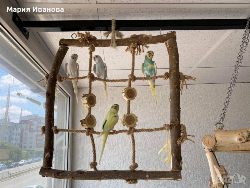 Ръчно изработена мрежа за папагали , снимка 1