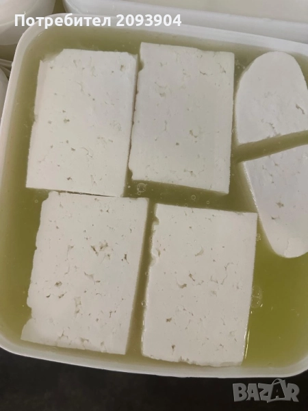 Краве сирене, снимка 1